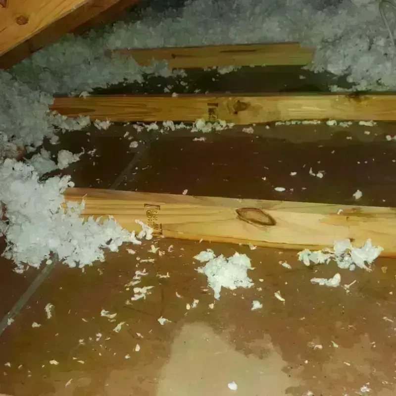 Attic Water Damage in Stoughton, WI